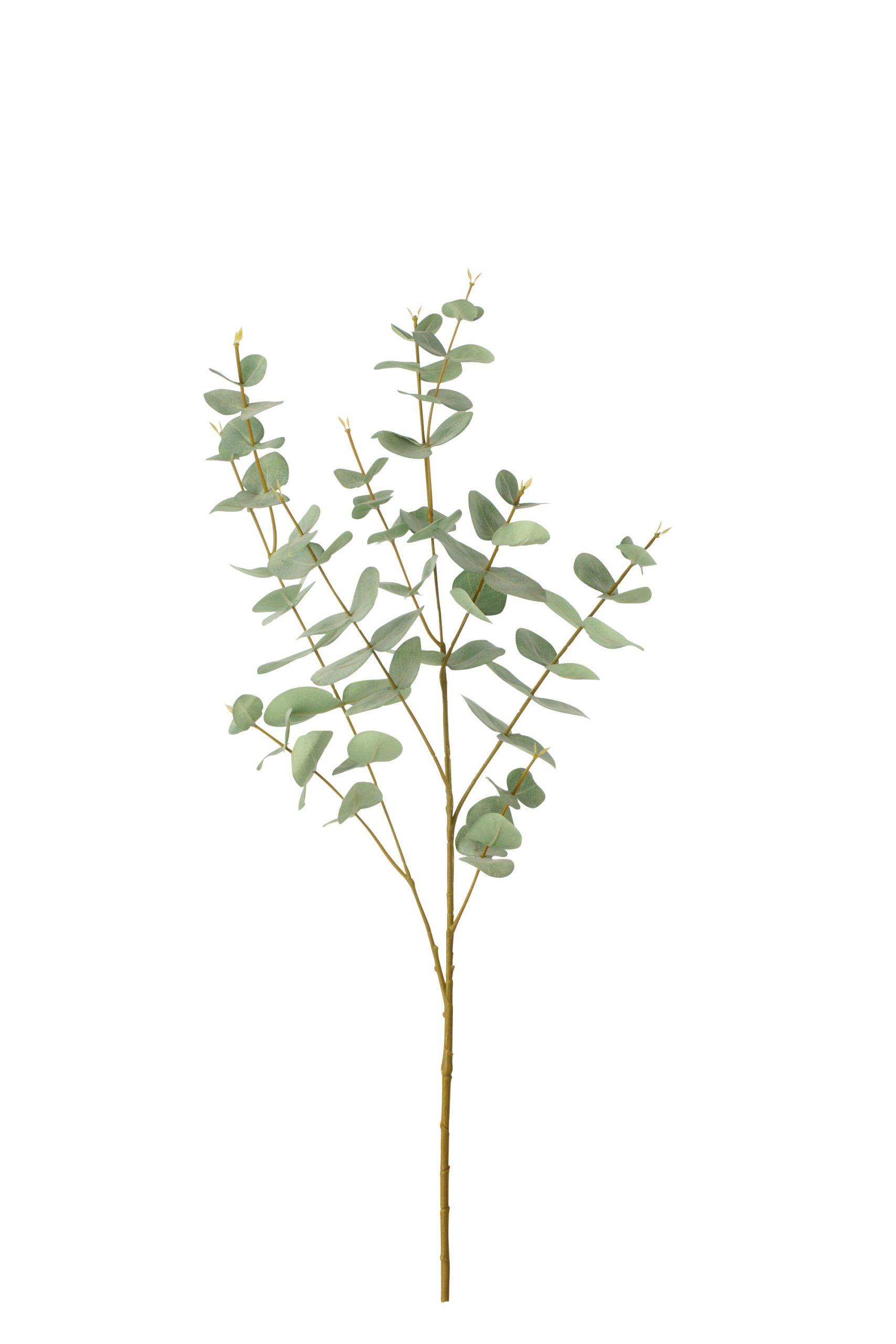 EUCALYPTUS TEXTILE GREEN