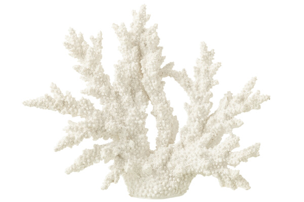 CORAL WHITE XL